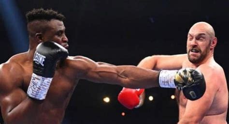 Le Combat Entre Tyson Fury Et Francis Ngannou Aurait Fait Des Chiffres