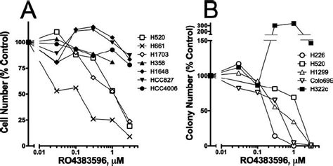 Selective Inhibition Of Nsclc Proliferation And Anchorage Independent