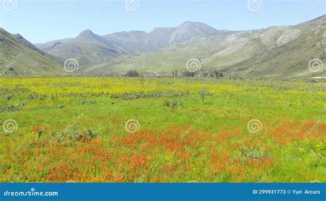 Drone Of Nature Mountains And Grass Or Landscape Background With