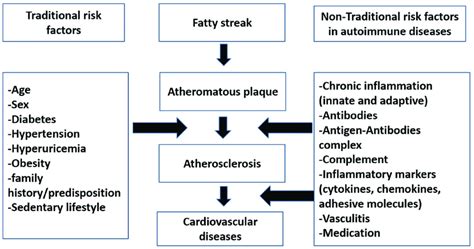 An Overview Of Roles Of Traditional Versus Nontraditional Risk Factors