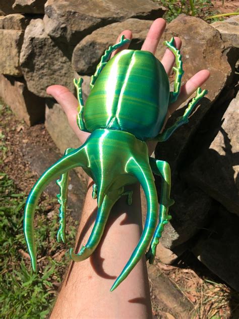 Giant Realistic Insect Stag Rhino Beetle Colossal Bug Etsy