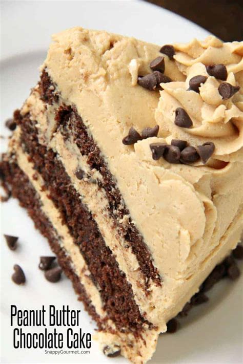 Peanut Butter Chocolate Cake From Scratch Snappy Gourmet