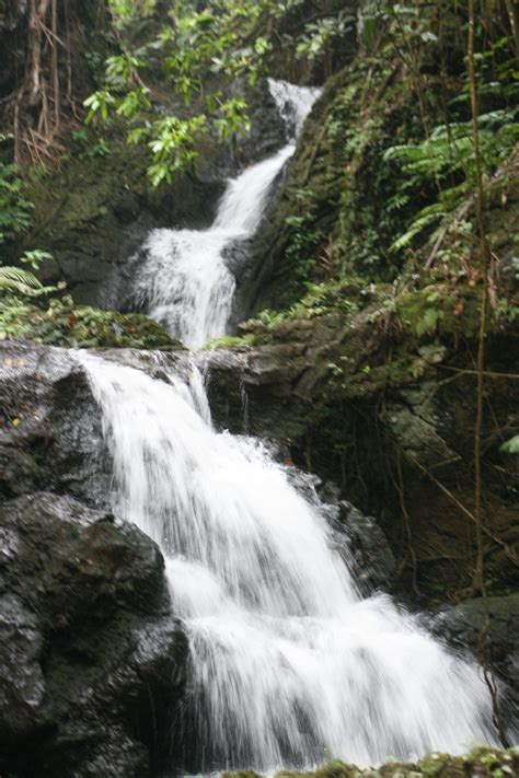 National Botanical Gardens, Hilo, Hawaii | Miss hawaii, Hawaii, Oahu travel