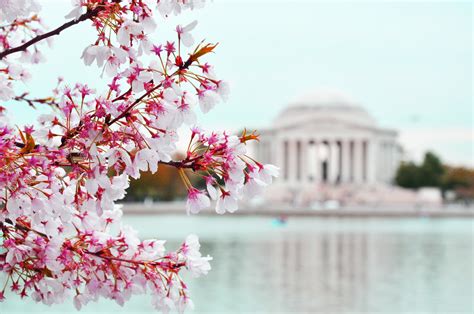 Tidal Basin — Trust for the National Mall