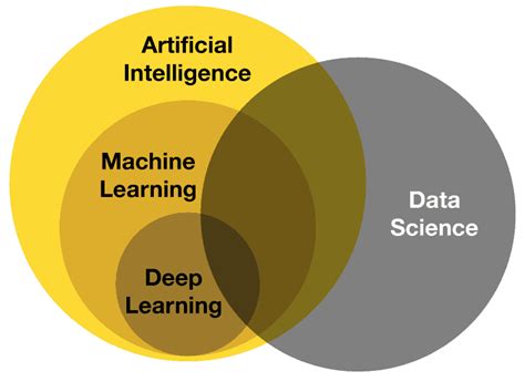 Neural Network Skills To Succeed In Data Science Updated