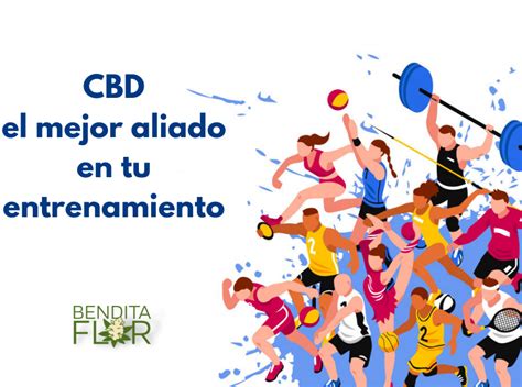 Bendita Flor Blog Cannabico Para Resolver Todas Tus Dudas Sobre Los