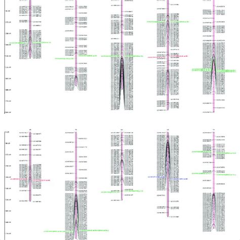 Genetic Linkage Map And Qtl Positions Identified On A B And D Genomes