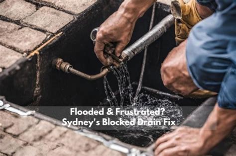 8 Risks Of Neglecting Blocked Drains Sydney Blocked Drain Service