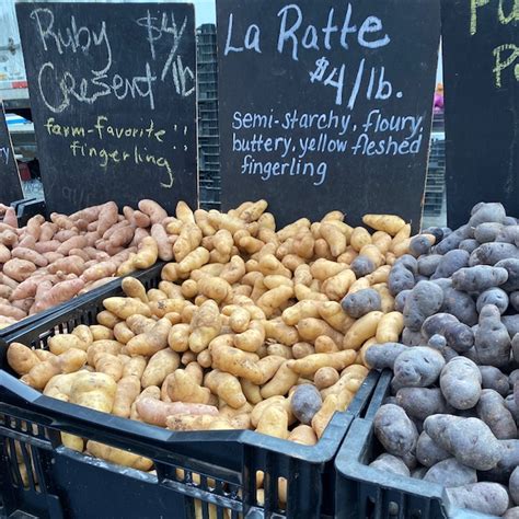 La Ratte Potatoes Information, Recipes and Facts