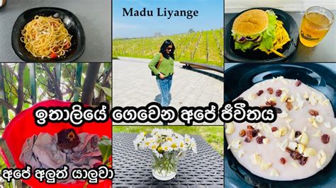 මගේ අද දවස Recipe 🍲 Life In Italy 🇮🇹 Madu Liyanage Youtube