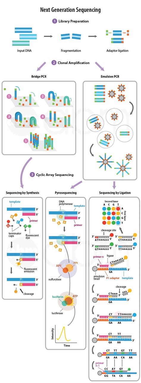 What Is Next Generation Sequencing