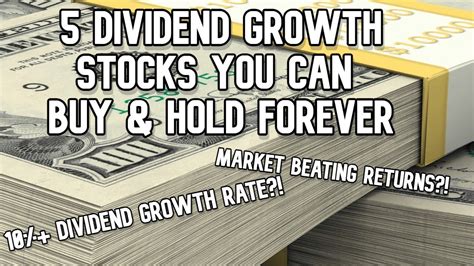 Dividend Growth Stocks You Can Buy And Hold Forever Investing