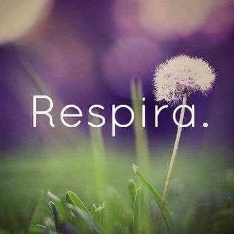 A Dandelion With The Words Respira On It In Front Of Grass