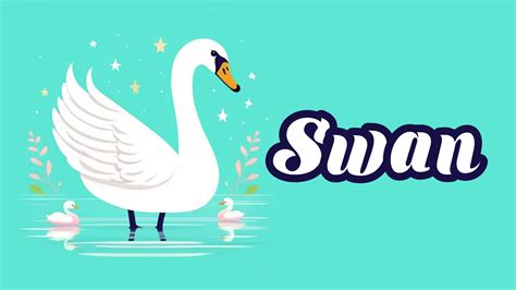 Educational animation introduction to animal names, Swan animal 4k ...