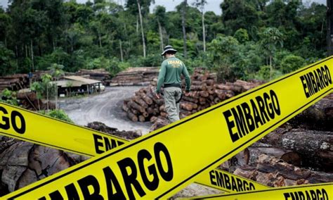 Ação declaratória de área consolidada contra embargo ambiental