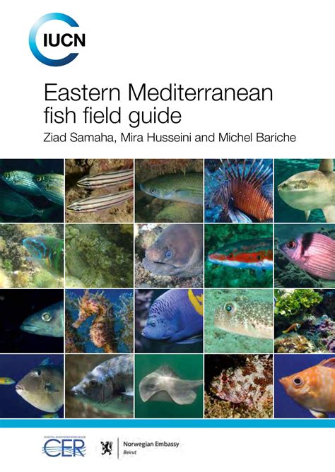 Eastern Med Fish Field Guide Pdf Docdroid