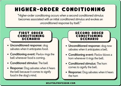 Classical Conditioning Examples