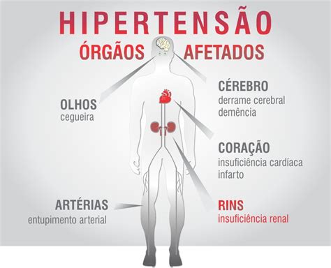 Obesidade X Hipertensão X Doença Renal Campanha De Prevenção Da