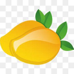 mango vector clipart 10 free Cliparts | Download images on Clipground 2024