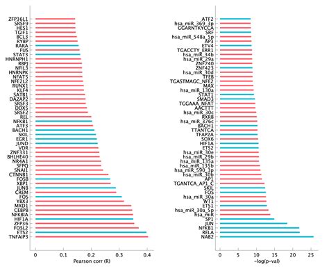 pM14 (VEGFA) | Multicellular immune hubs and their organization in MMRd ...