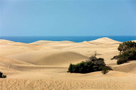 Club Lookéa Maspalomas Choix Flex à Grande Canarie Espagne