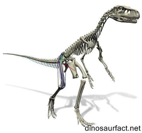 Staurikosaurus dinosaur