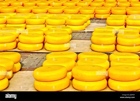 holland netherlands tradition cheese hearty cheese-market complete ...