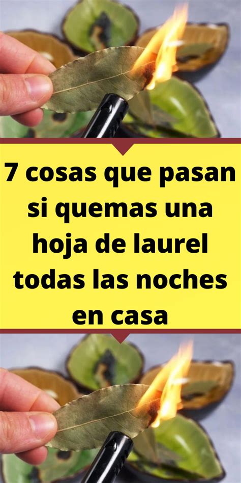 7 Cosas Que Pasan Si Quemas Una Hoja De Laurel Todas Las Noches En Casa