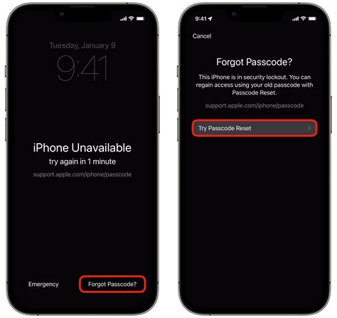 Reset A Forgotten Iphone Passcode Using The Old One Guidantech