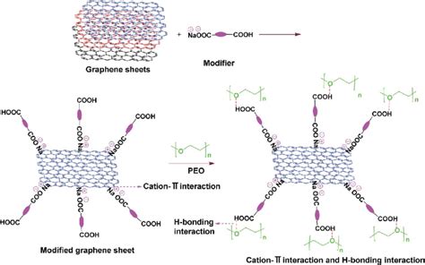 Schematic Representation Of The Cation P Interaction Between Modifier