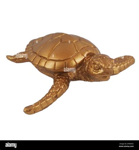 Gold Turtle Stock Vector Images Alamy