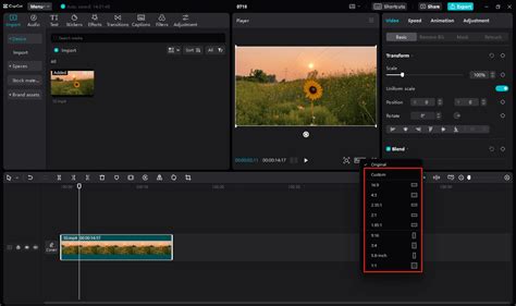 How To Change Video Aspect Ratio For Social Media In CapCut