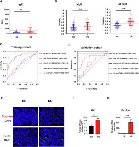 Protection Against Dss Induced Colitis In Mice Through Fcεriα Deficiency The Role Of Altered