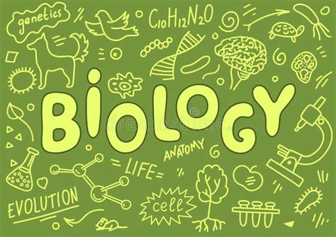 Biology Hand Drawn Doodles With Lettering Stock Vector Illustration Of Circle Drawn 135246167