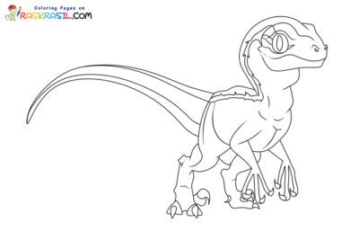 Desenhos Do Velociraptor Para Colorir