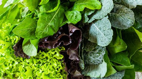 The Ultimate Guide To Sneaking More Leafy Greens Into Your Diet