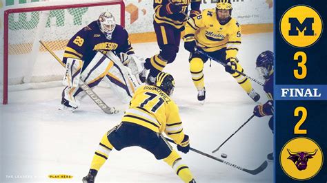 Pin by R S on Michigan Wolverines Hockey | Michigan wolverines hockey ...