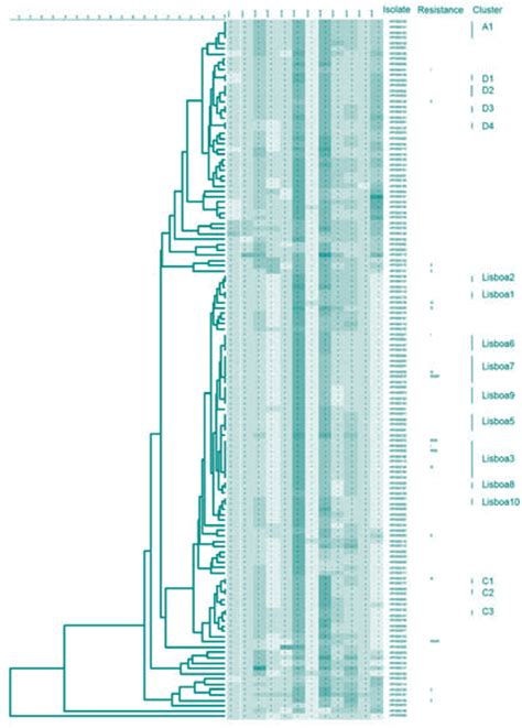 Miru Vntr Dendrogram Of The M Tuberculosis Clinical Isolates