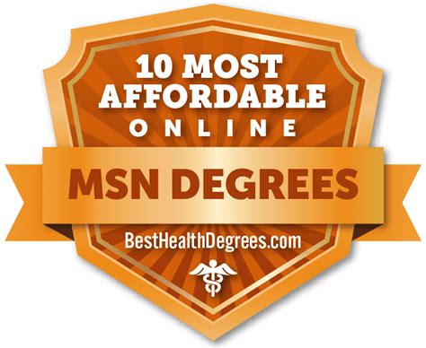 Top 10 Cheap MSN Online Programs - The Best Health Degrees