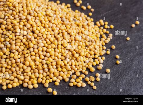 Studio Shot Of Mustard Seed Hi Res Stock Photography And Images Alamy