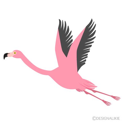 Flying Flamingo Clip Art Free Png Image｜illustoon