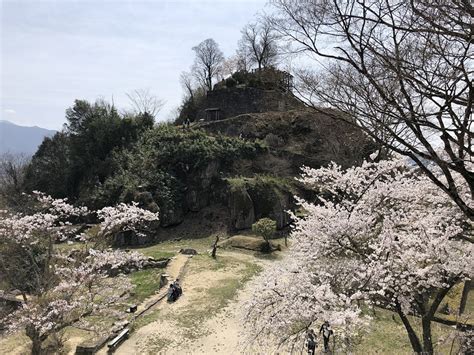 長山城の写真：主郭（南から） 攻城団