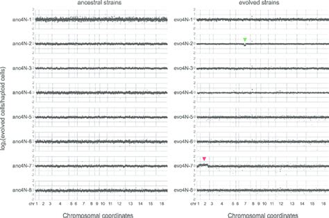 Array Based Comparative Genome Hybridization Acgh Analysis Reveals