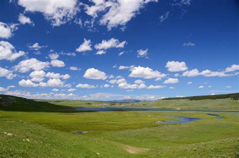 Fotos gratis paisaje agua naturaleza césped horizonte pantano