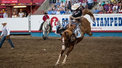 greeley stampede set  boost greeleys economy newscom