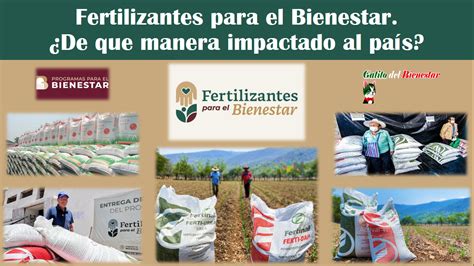 Fertilizantes Para El Bienestar De Que Manera Impactado Al Pa S