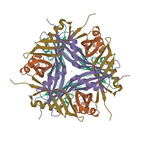 RCSB PDB 3OQT Crystal Structure Of Rv1498A Protein From