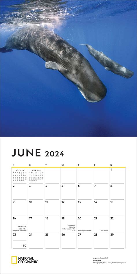 National Geographic 2024 Calendar Hattie Christalle