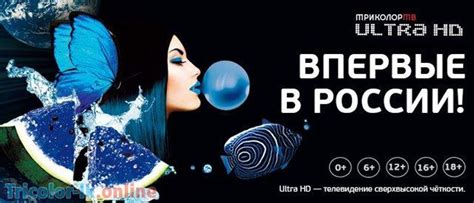 Единый Ультра HD Триколор - цена, список каналов тарифа единый Ultra HD ...