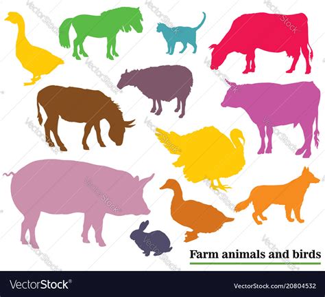 Colorful Farm Animals And Birds Silhouettes Vector Image